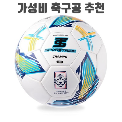 가성비 축구공 추천 순위 Best 10+