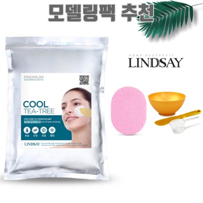 1.린제이 티트리 모델링팩 피부관리샵 사용 1kg+고급팩도구 4종(해면추가), 1개, 1팩_이미지(imge)입니다.